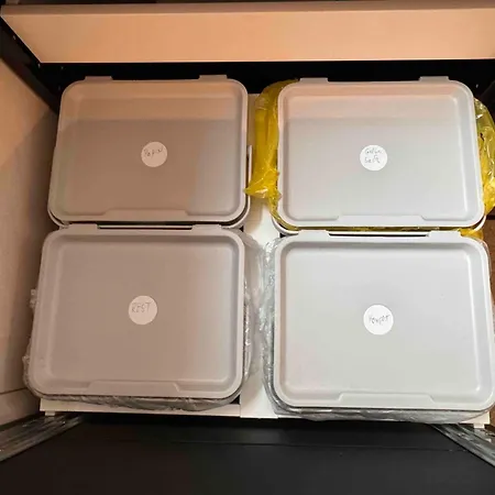 Tiny Frida * Gifhorn